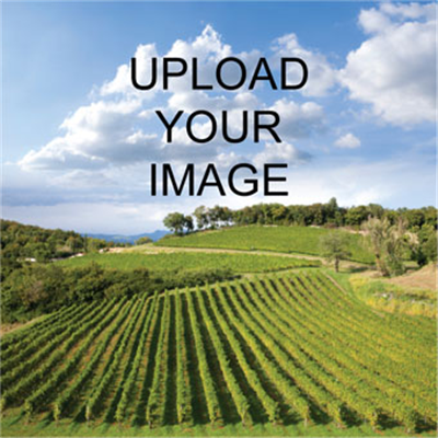 White Wine with Photo W01