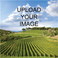 Red Wine with Photo R01